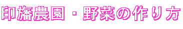 ようこそ！印旛農園へ